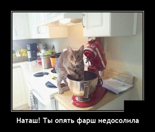 Наташ Ты опять фарш недосолила