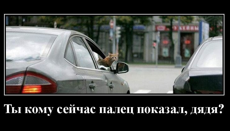 Ты кому сейчас палец показал дядя