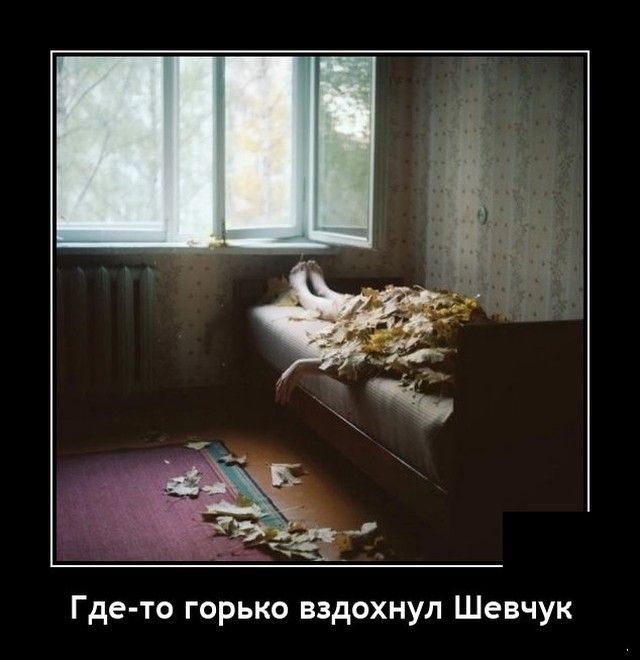 Где то горько вздохнул Шевчук