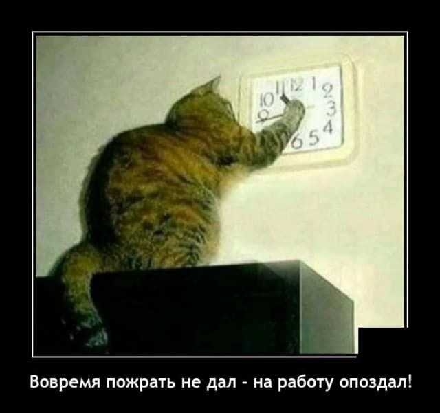 Вовремя пожрать не дал на работу опоздал