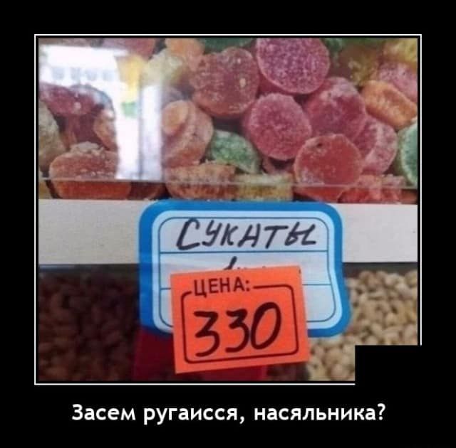 Засем ругаисся насяльника