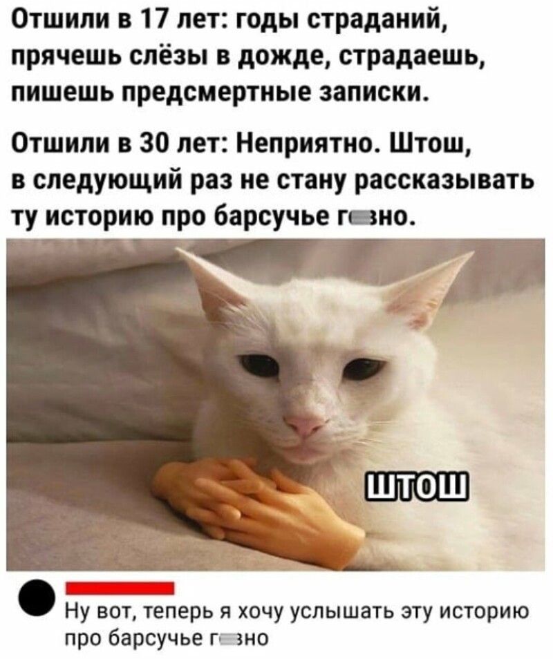 Отшипи в 17 лет годы страданий прячешь слёзы в дожде страдаешь пишешь предсмертиые записки Отшипи в 30 лет Неприятно Штош в следующий раз не стану рассказывать ту историю про барсучье гпно Ну вот теперь я хочу услышать эту историю про барсучье г зно