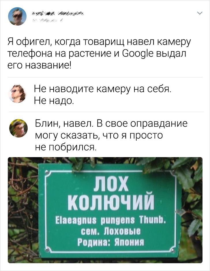 из жи тяж Я офигел когда товарищ навел камеру телефона на растение и Ооооіе выдал его название Не наводите камеру на себя Не надо Блин навел В свое оправдание могу сказать что я просто не побрился ЛОХ _ КОЛЮЧИИ Еіппппв виним Пшпп сом Лпхппып Рппиия Япония
