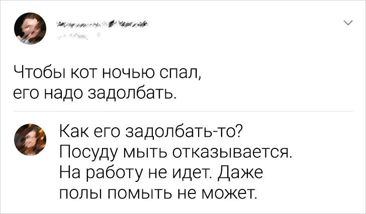 9904 Чтобы кот ночью спал его надо задолбать Как его задолбать то Посуду мыть отказывается На работу не идет Даже попы помыть не может