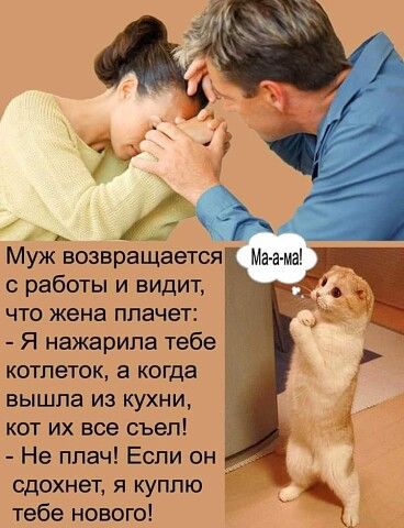 Муж возвращается с работы и видит что жена плачет Я нажарипа тебе котпеток а когда вышла из кухни кот их все съел Не ппач Если он сдохнет я куплю тебе нового