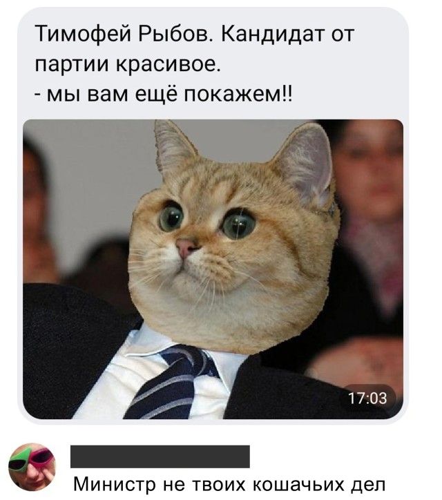 Тимофей Рыбов Кандидат от партии красивое мы вам ещё покажем МИНИСТР не ТВОИХ КОШЗЧЬИХ дел