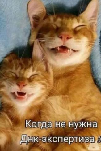 КЪёкспертиёёт