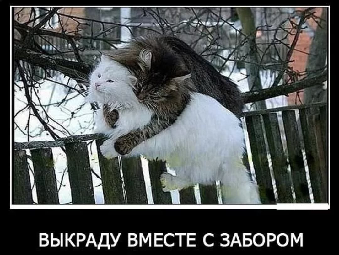 ВЫКРАДУ ВМЕСТЕ С ЗАБОРОМ