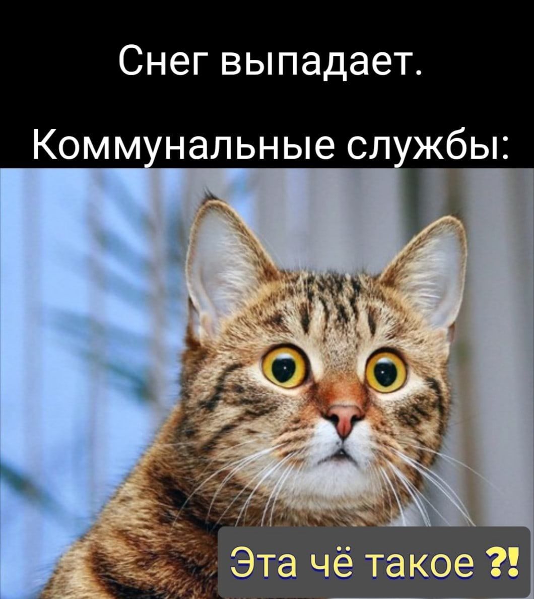 Снег выпадает Коммунальные службы