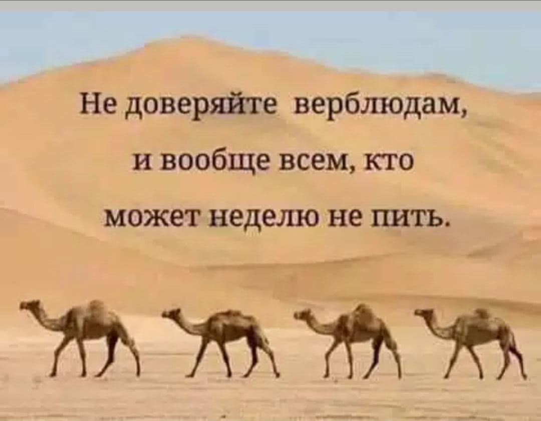 Не дщшеряйте варвёщ м и Фбще всем кю накажет недешг не пить