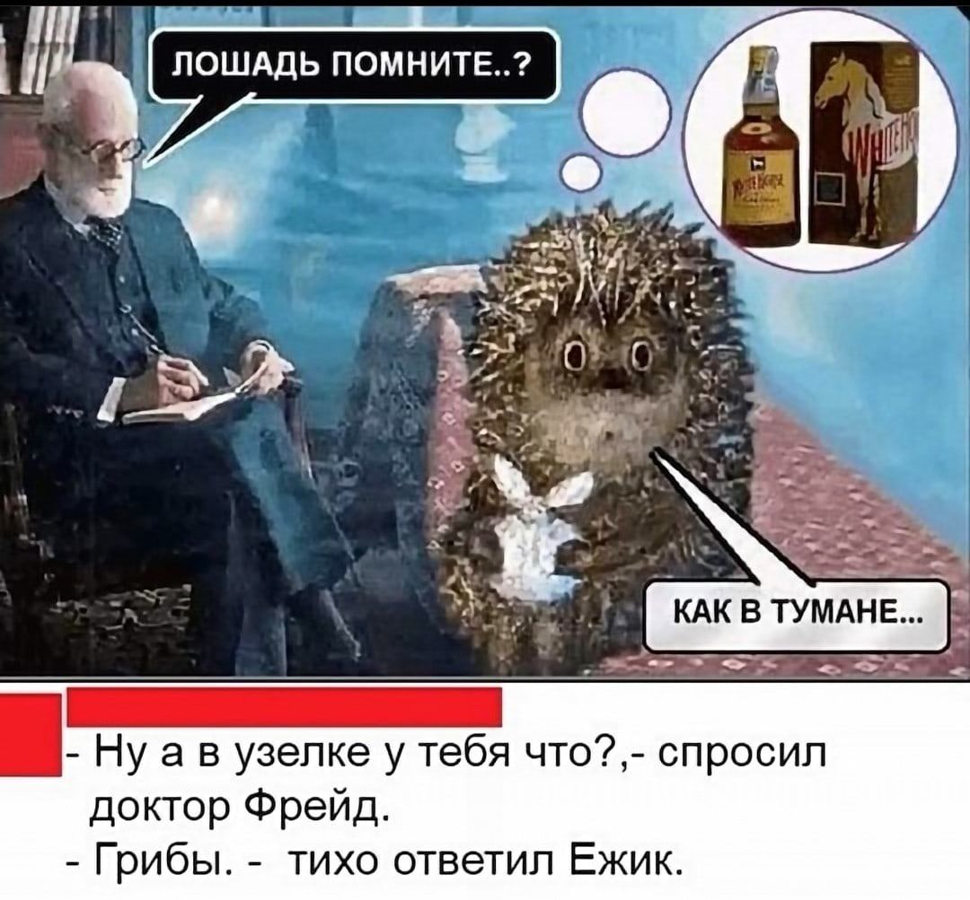 Ну а в узепке у тебя что спросил доктор Фрейд Грибы тихо ответил Ежик
