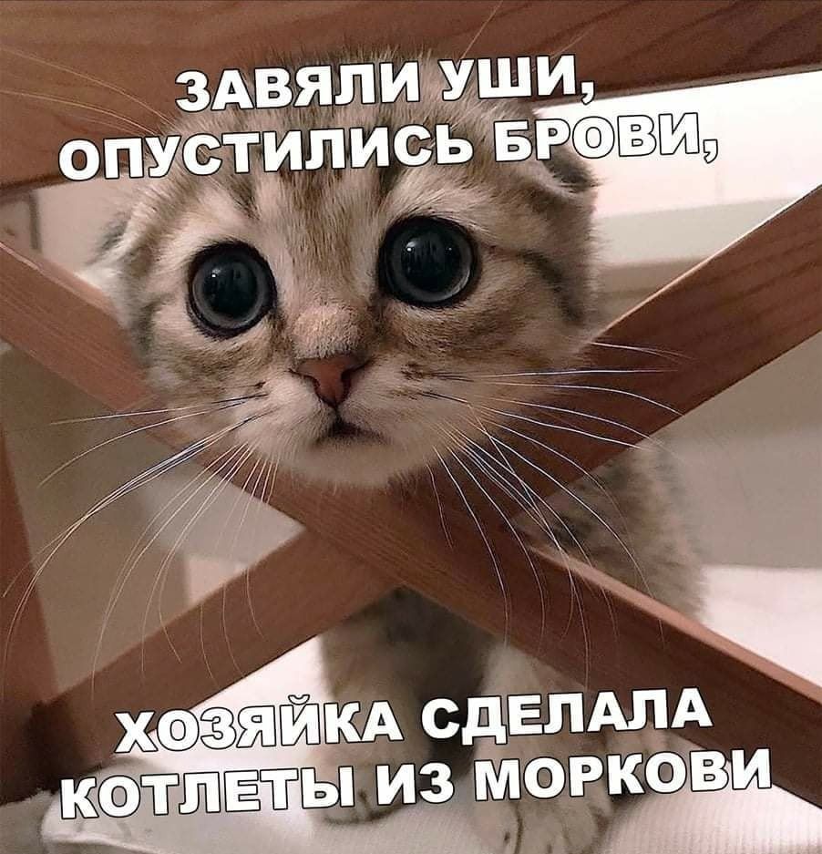 Завя иигуши опёстипись ьб