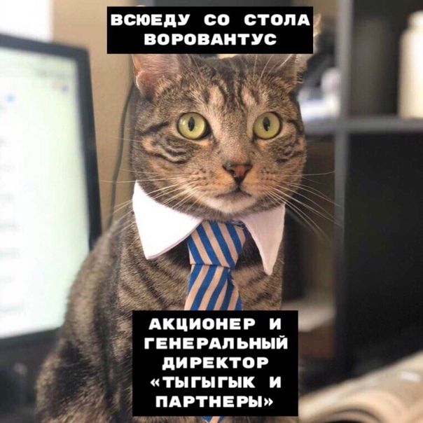 ВСЮЕДУ СО СТОЛА ВОРОВАМТУС 533 __ АкциоиЁР и гвиврдльиый ПИРЕКТФР ТЫГМГЫК И ПАРТНЕРЫ