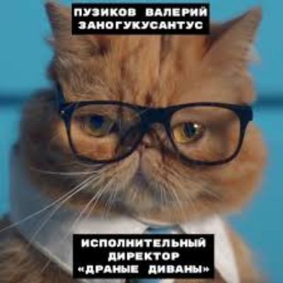 тии ко вип ий слив гупустп исполнит дип пог дгмн дип