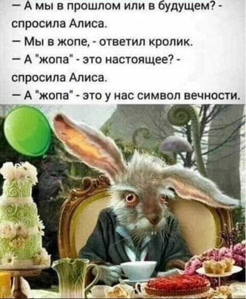 А мы в прошлом или в оудущем спросила Алиса Мы в жопе ответил кролик А жопа это настоящее спросила Алиса А жопа это у нас символ вечности
