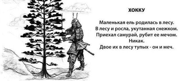 ХОККУ Маленькая ель родилась влеку в пеу и росла укутанная снежком Приехал самурай рубит ег мечом Никак двое их впесу тупых он и меч