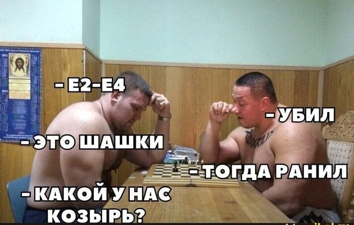 КОЗЫ ВЫ