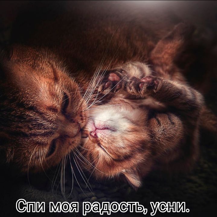 тпш