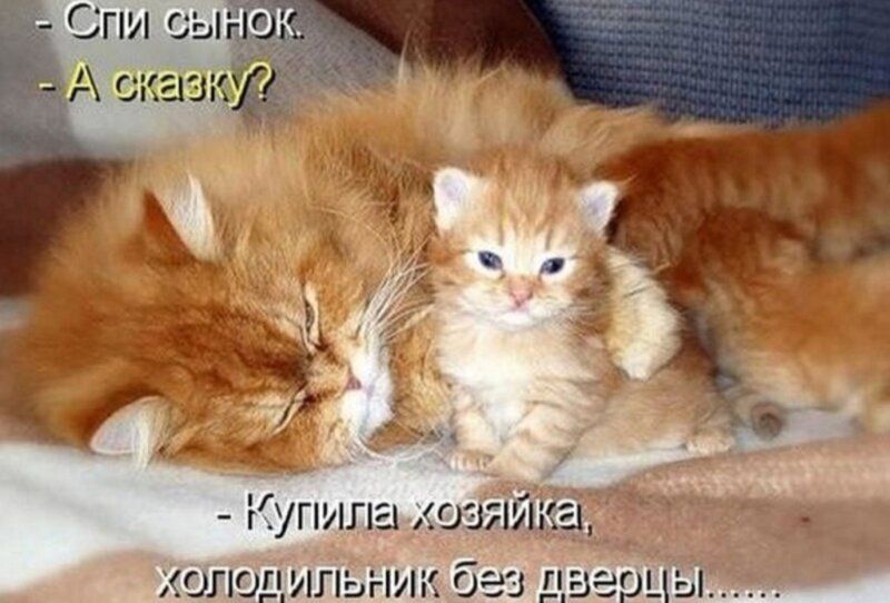 Спи сы А сказкЁ