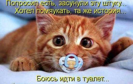 _ОЮСЬ ИДГИ В туалет