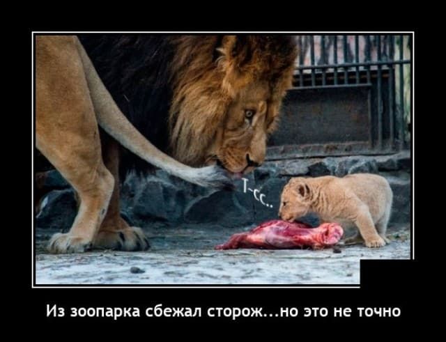 ИЗ ЗООПЗРКВ сбежал СТОРОЖН ЭТО НЕ ТОЧНО
