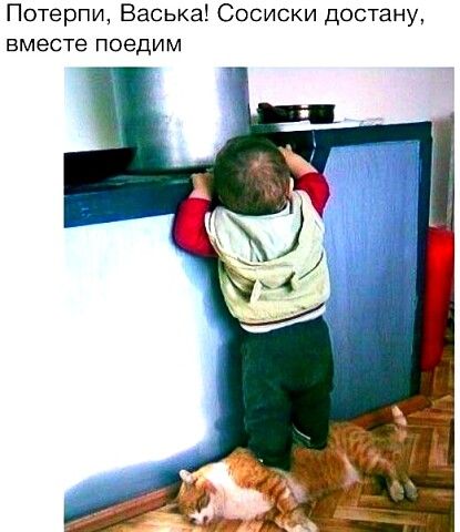 Потерпи Васька Сосиски достану вместе поедим