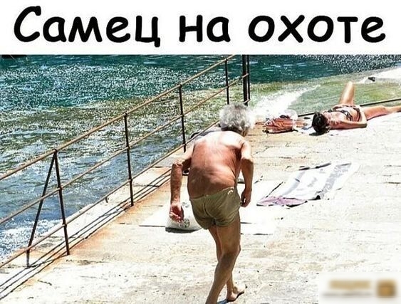 Самец на охоте