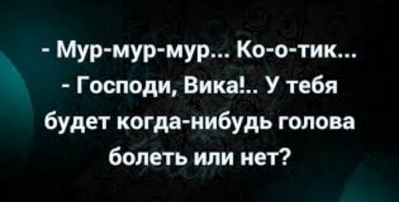 Мур мур мур Ко о тик Господи Вика У тебя будет когда нибудь голова болеть или нет