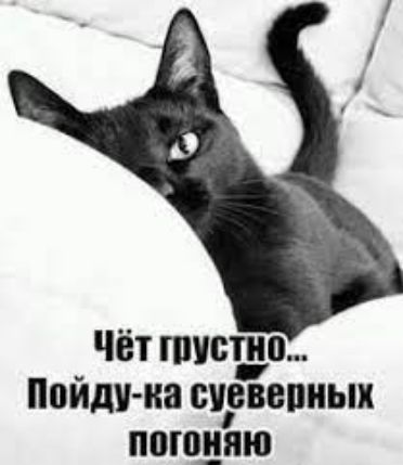 Чёт пистно Пойди иа суввепиых ппюияю