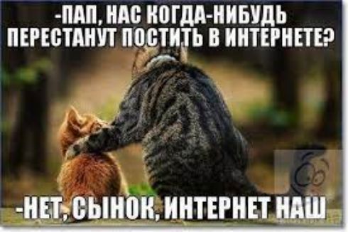 ШШ НАС МДА НИБУДЬ ПЕРЕЁПШУТ пошир ИНТЕРНЕТЕ и ньтшыніш иншнп МШ