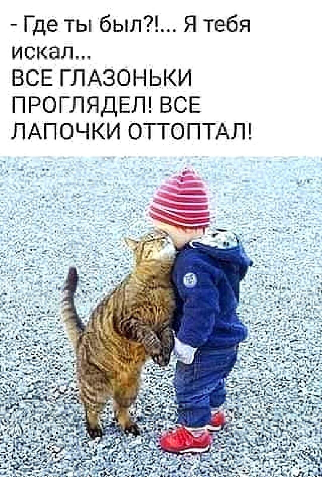 Где ты был Я тебя искал ЕСЕ ГЛдЗШНЬКИ ПРОГЛЯДЕЛ ВСЕ ЛдПОЧКИ ОТТОПТАЛ