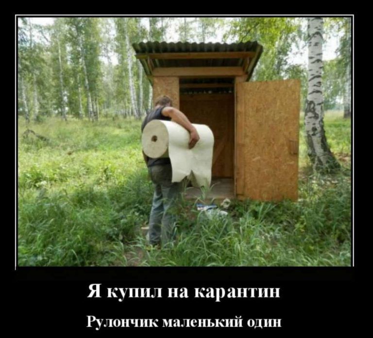 Я купил на карантин Рулончик маленький один