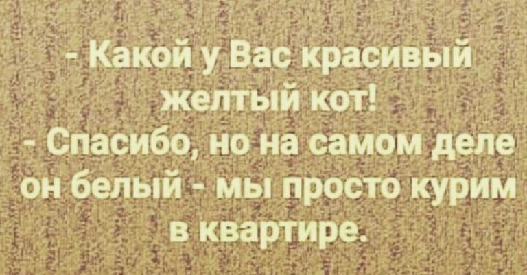 Какая у Ва красивым желтым коТ Спасибо но На самом деле он белый мы просто курим в квартире
