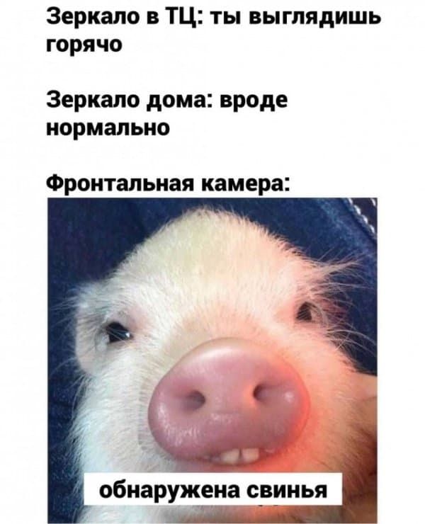 Зеркало 3 ТЦ ты выглядишь горячо Зеркало дома вроде нормально Фронтальная камера О обнаружена свинья
