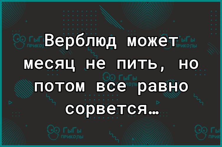 Верблюд может месяц не пить но потом все равно сорвется