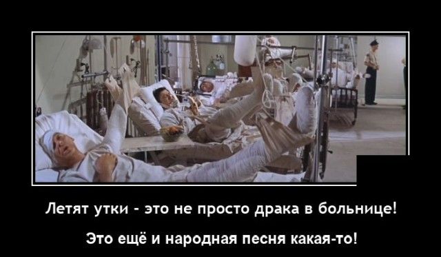 Летят утки это не просто драка в больнице Это ещё и народная песня какая то