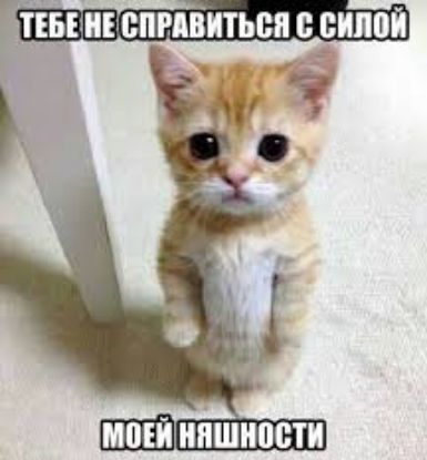 Тебене спеавиться  силой моей няшности