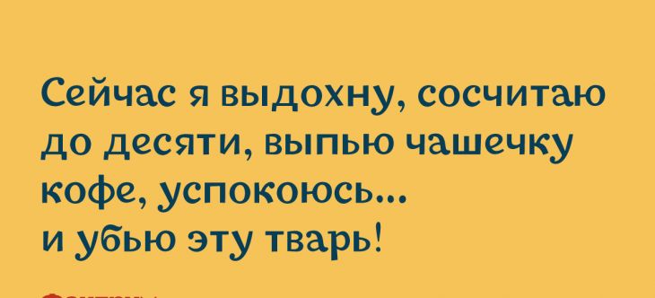 сейчас я выдОхну сОсчит аю до десяти выпью чашечку кофе успокоюсь и убью эту тварь