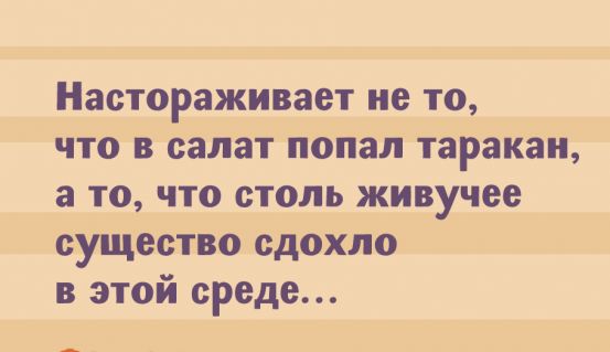 Настораживает не то что в салат попал таракан а то что столь живучее сушество сдохіло в этой среде