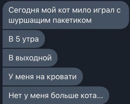 СЭГОДНЯ МОЙ КОТ МИЛО играл С ШУРШЗЩИМ ПЭКВТИКОМ В 5 утра В выходной У меня на кровати Нет у меня больше кота