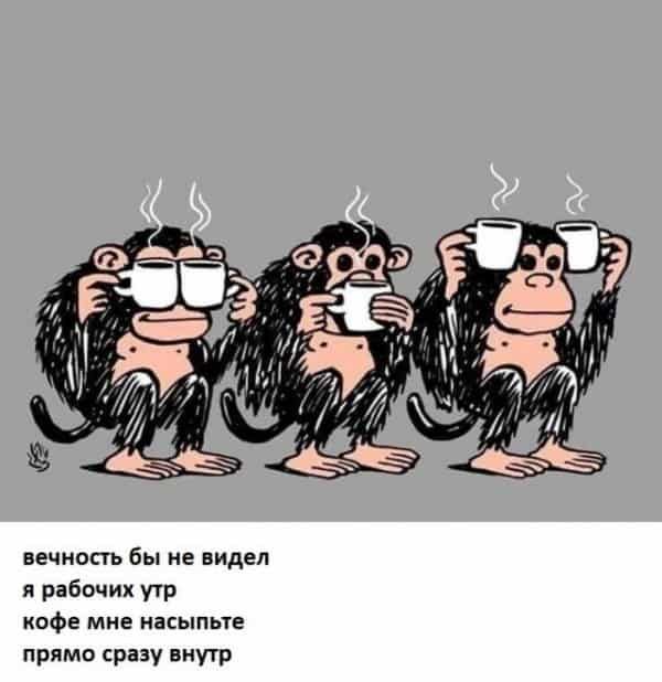 вечность бы не видел я рабочих утр кофе мне насыпьте прямо сразу внутр