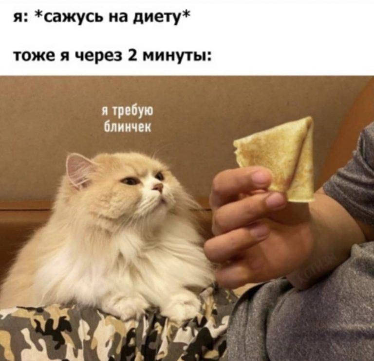 я сажусь на диету тоже я через 2 минуты требую блиичек 4