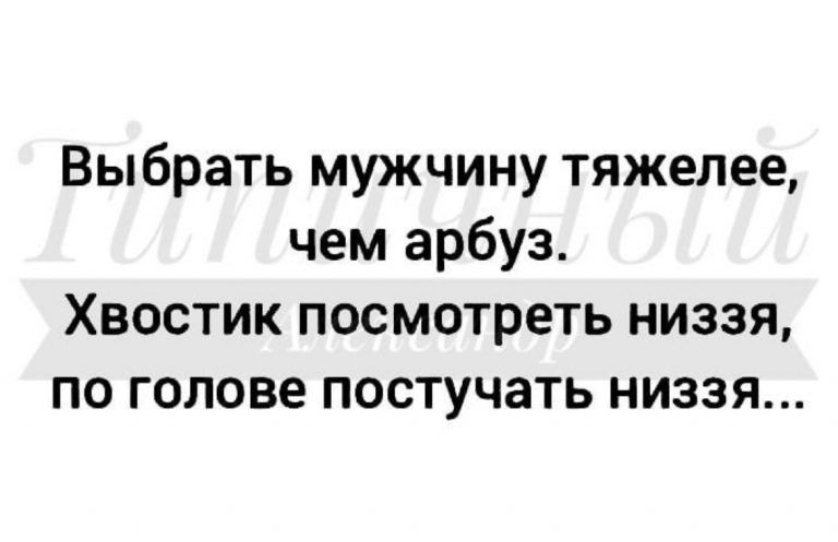 Выбрать мужчину тяжелее чем арбуз Хвостик посмотреть низзя по голове постучать низзя