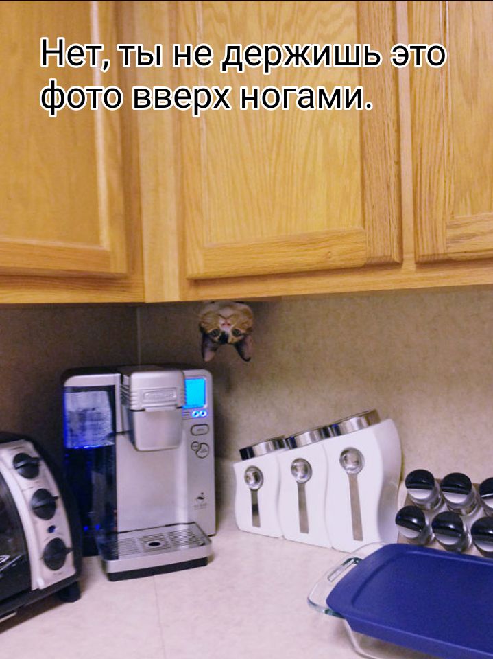 Нет ты не держишь это фото вверх ногами