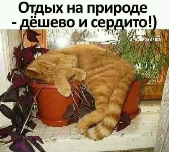 Отдых на природе ёшево и_се ито _