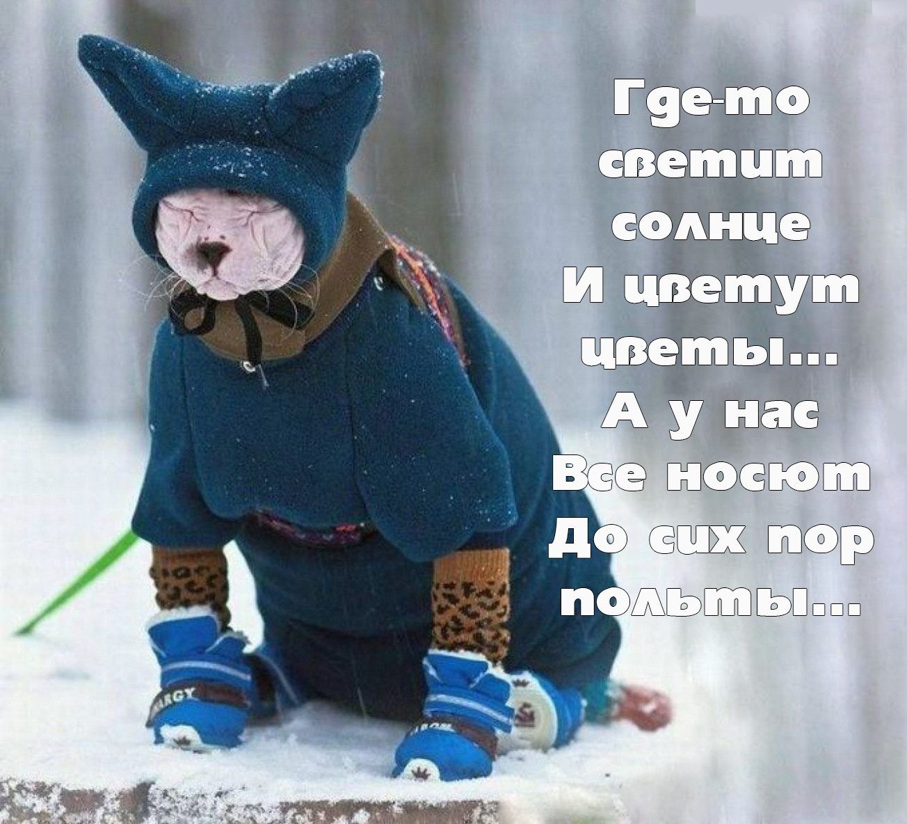 _Ц тт мЁЧ П ЮСБЭ жТхГьіЛЮ ГЁГ