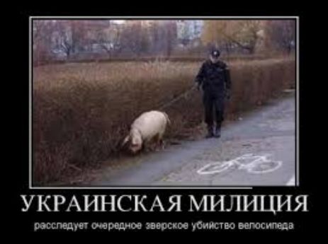УКРАЙНСКАЯ Я версии убийство вс ос