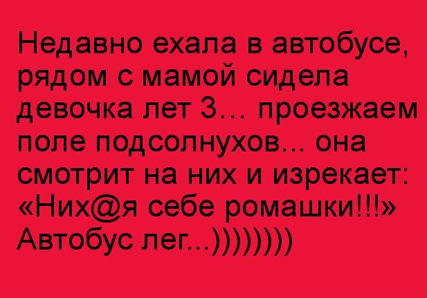 НедавНо еХапіа В автобусе рядом с мамой сидела девочка лет проезЖае м поле под сол нухов2 Она смотрит на них и изрекает Нихя себе ромашки АВТСбУС Лет