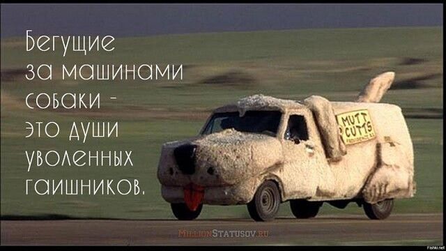 Бегущие зо мошиноми соьоки это души УВОенных гаишников
