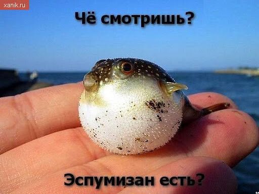 ча смотришь